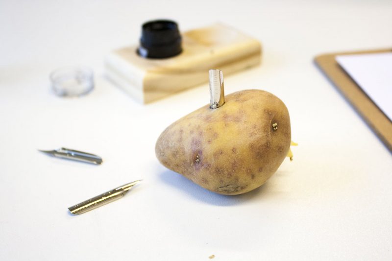 Nib in een aardappel